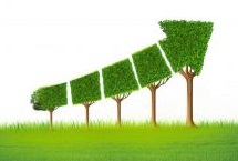 生态绿色发展：发电装机越来越清洁，数据中心越来越节能