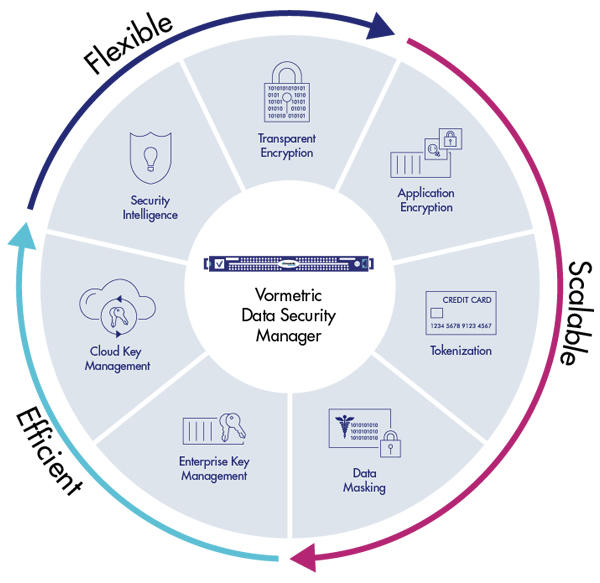 哪些类型的网站适合部署在高防服务器