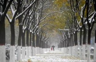 全球变冷!强寒潮是在打脸全球变暖吗? 强寒潮是在打脸全球变暖吗,全球变冷,全球变暖,强寒潮