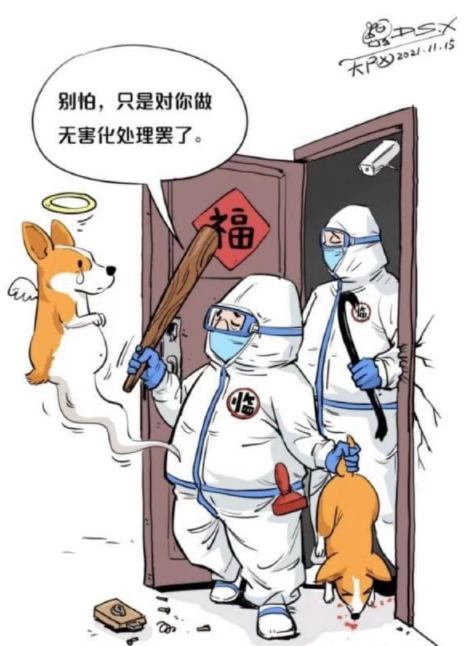 央视网评隔离宠物狗被扑杀:没有法律依据 宠物狗被扑杀,央视网,隔离